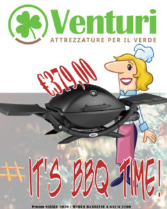 IT'S BBQ TIME - Promo NATALE 2020 - WEBER BARBECUE A GAS Q 2200